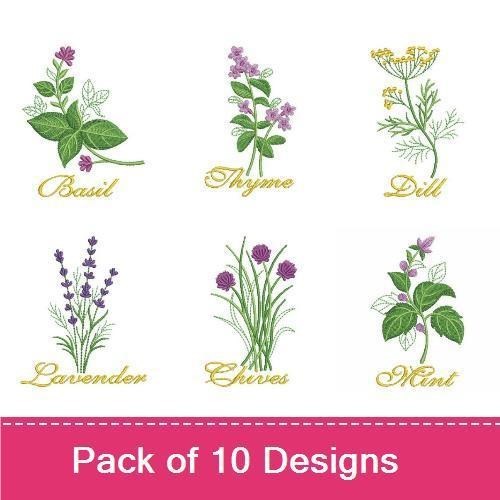 Kitchen Herbs
