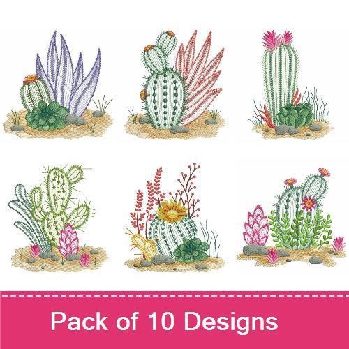 Cactus 2
