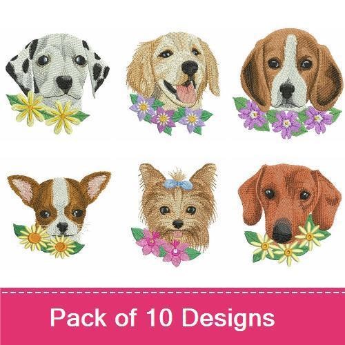 Golden Retriever & Dalmatian Embroidery Bundle – Cute Dog Breeds (10 Designs)