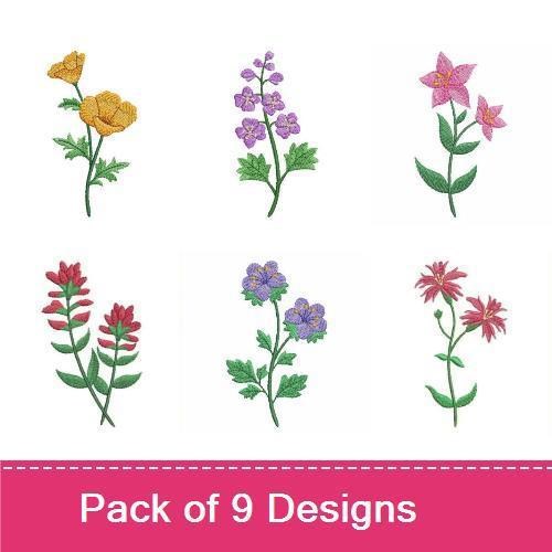 Western Wildflowers