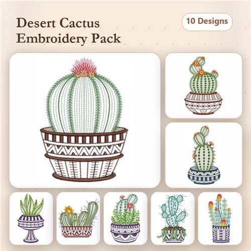 Basket Cactus