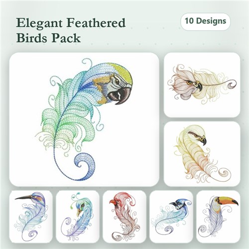 Bird Feathers
