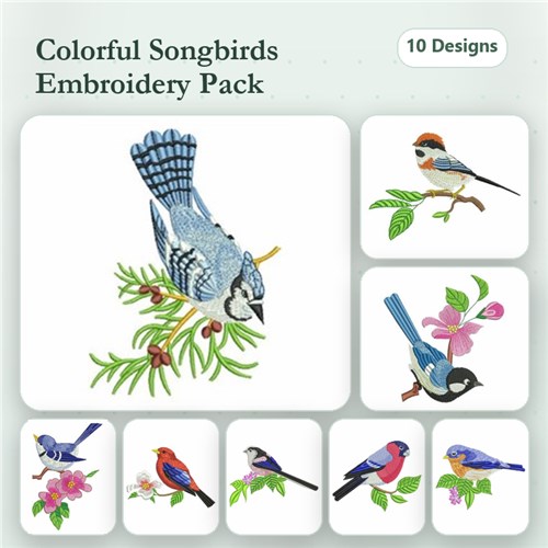 Birds Collection 2