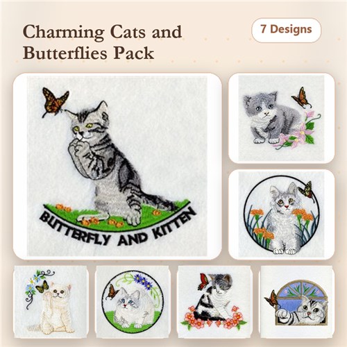 Butterfly And Kitten Butterfly And Kitten