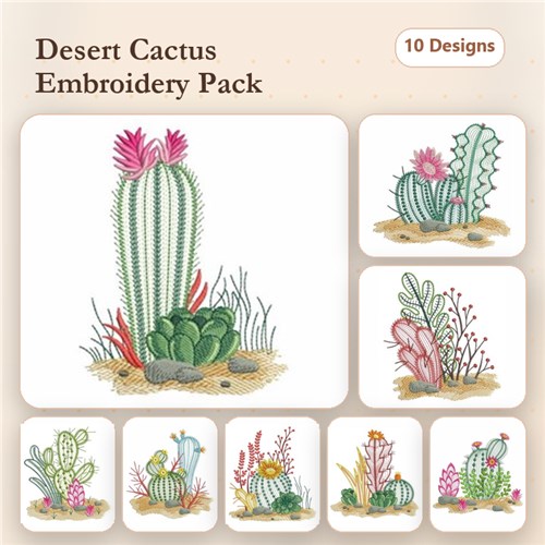 Cactus 2