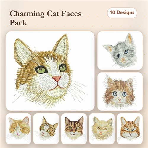 Cats Cats
