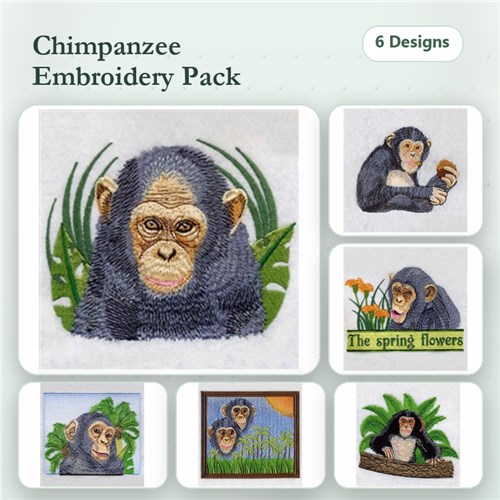 Chimpanzee Chimpanzee