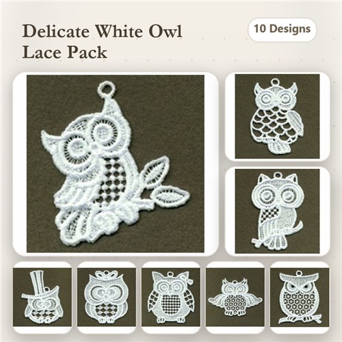FSL Baby Owls 2