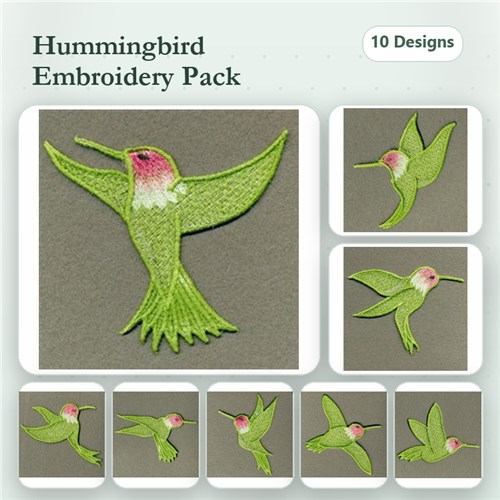 FSL Hummingbird