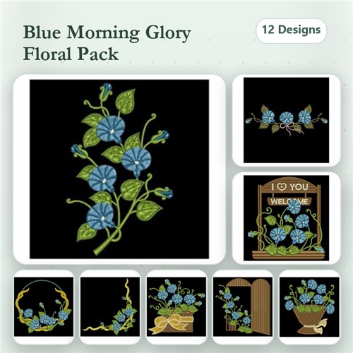 Morning Glory