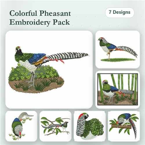 Pheasant