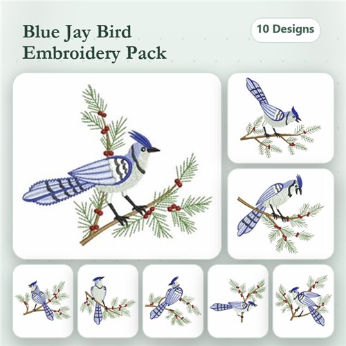 Winter Blue Jay
