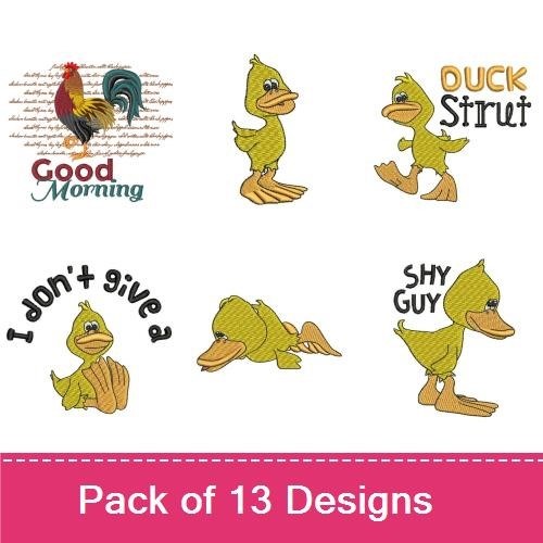 Ducks & Birds