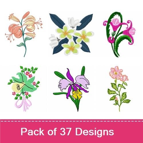 Floral Embroidery Designs Bundle – Floral Swirl, Single Stem Flower, Lily Design & More (37 Designs)