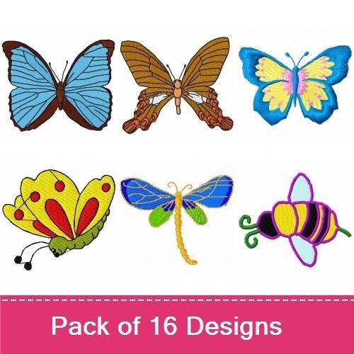 Beautiful Insects