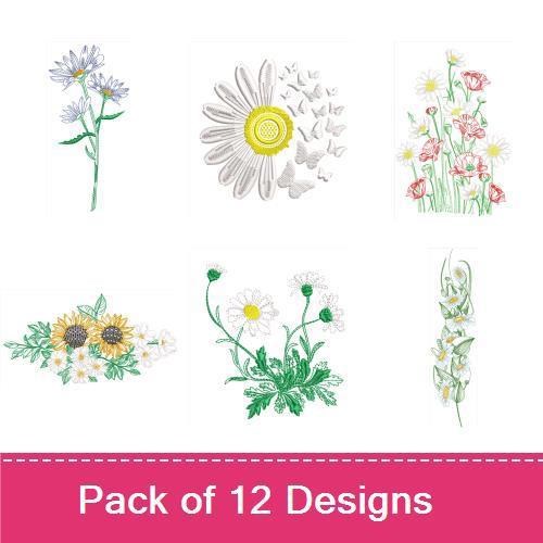 Colorful Floral Daisies