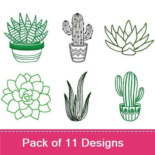 Cacti