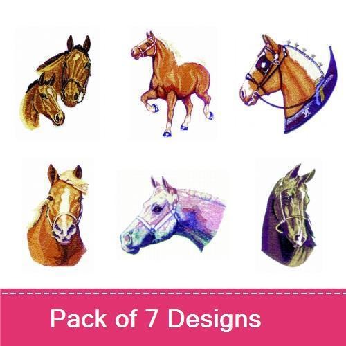 Horses 5