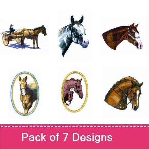 Horses 7