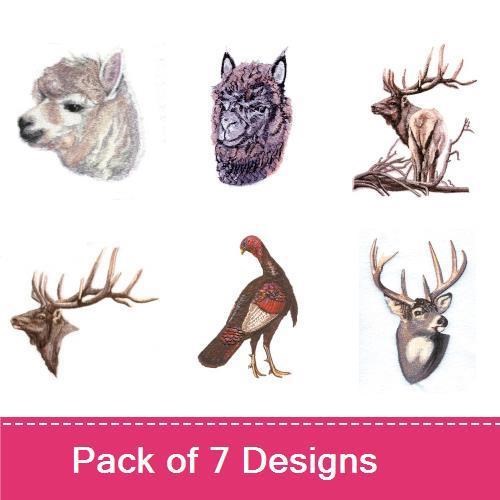 Wildlife Designs