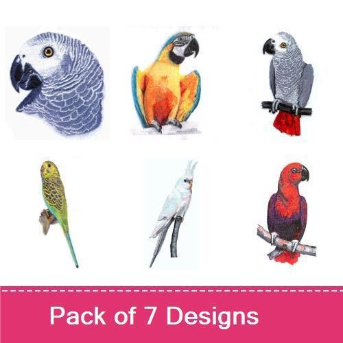 Tropical Birds