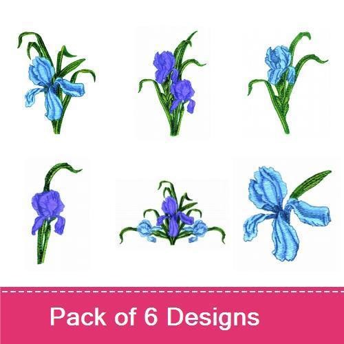 Iris Floral Collection