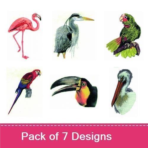 7 Large Birds 3