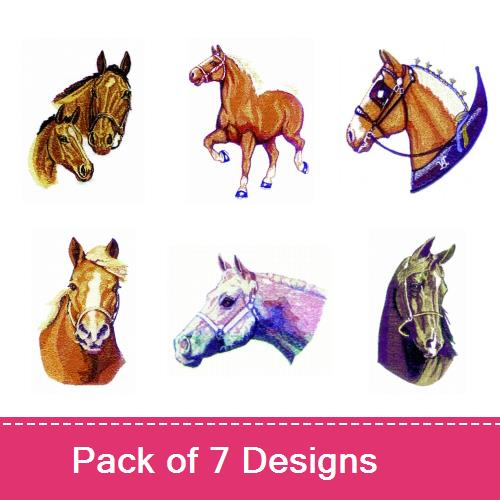 Horses 5
