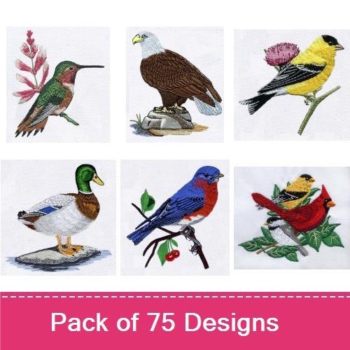 Birds 2