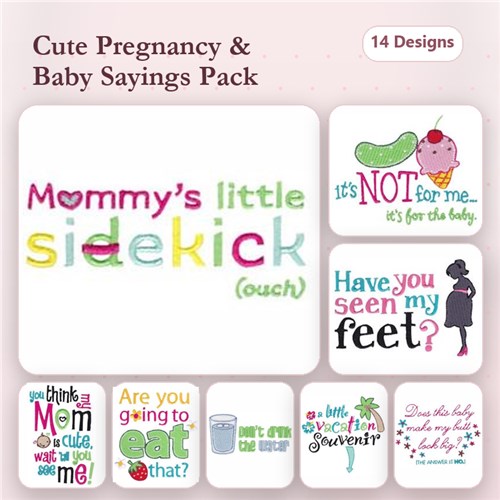 Pregnancy Sentiments