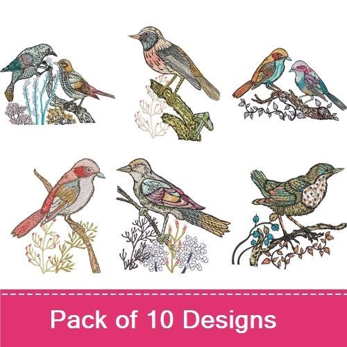Colorful Birds Embroidery Designs Bundle – Bird on Branch, Songbird, Blue Jay & More (10 Designs)
