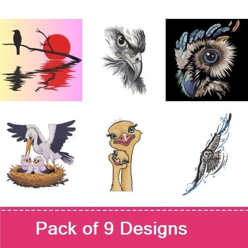 Birds of Prey & Feathered Friends Embroidery Designs Bundle – Eagle Portrait, Owl Face, Hummingbird & More (9 Designs)