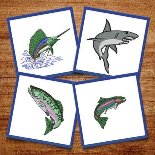 Fancy fishes