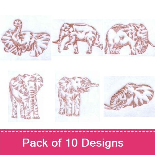 Majestic Elephants
