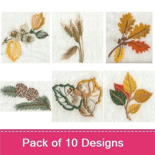 Autumn Leaves and Nature Embroidery Designs Bundle – Autumn Oak Leaves, Golden Maple Leaf, Pine Cone with Needles & More (10 Designs)