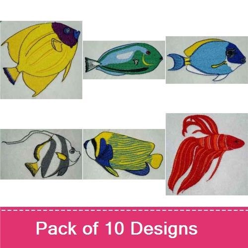 Tropical Fish