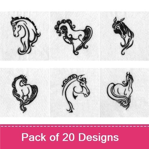 Elegant Wild Horses