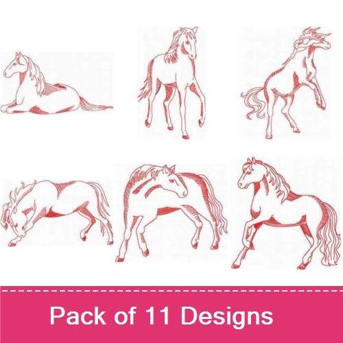JN Horses