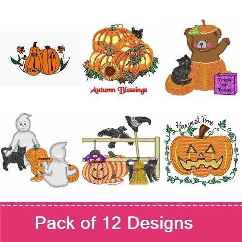 Fall Pumpkins & Jack-O-Lanterns