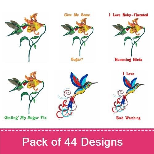 Bird Designs