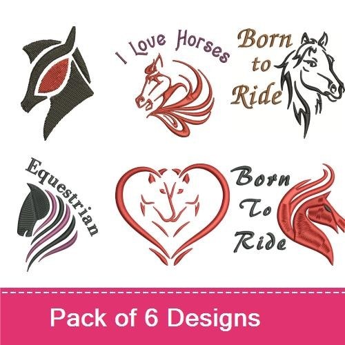 Amazing Equestrians