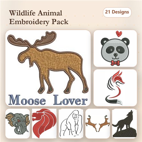 Wildlife Animals