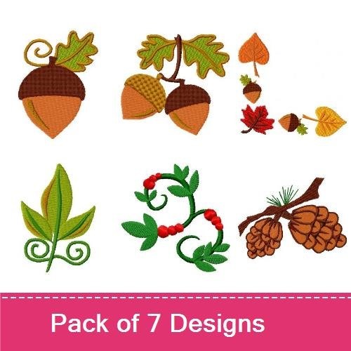 Fall Colors