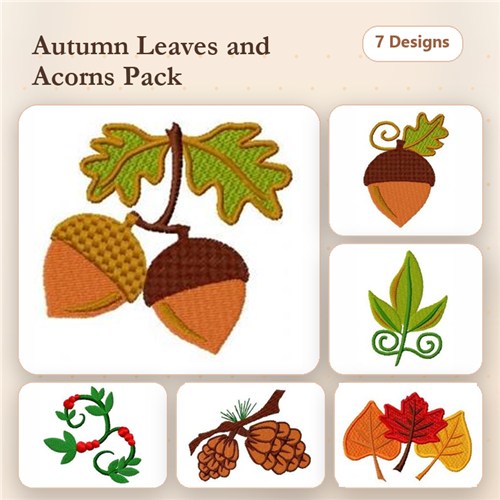 Fall Colors