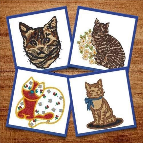 Cats