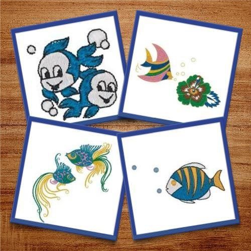 Fancy Fishes - 1