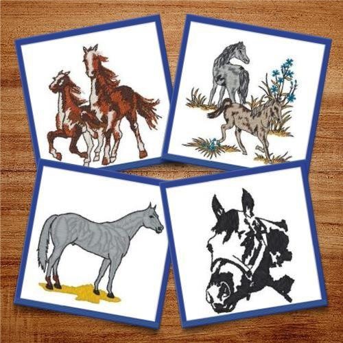 Horses