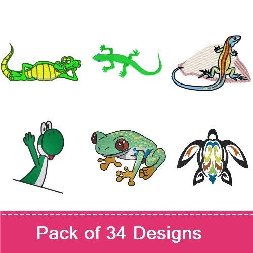Reptiles & Amphibians