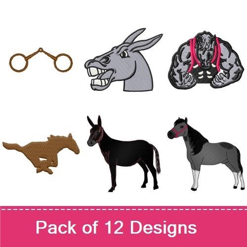 All About Horses