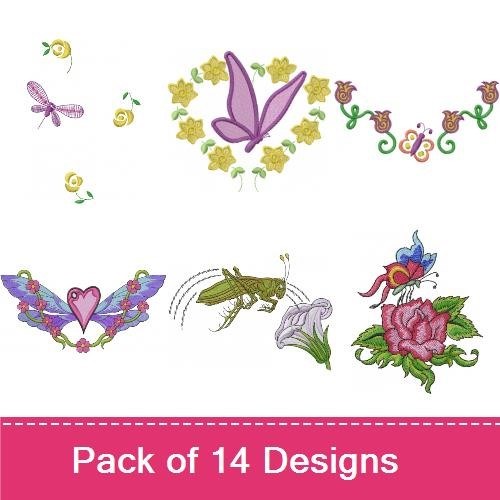 Butterflies & Bugs!